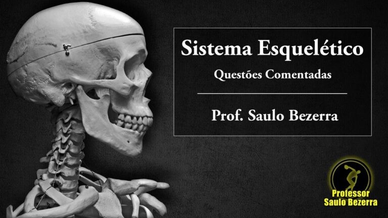 Exercícios Práticos sobre Ossos