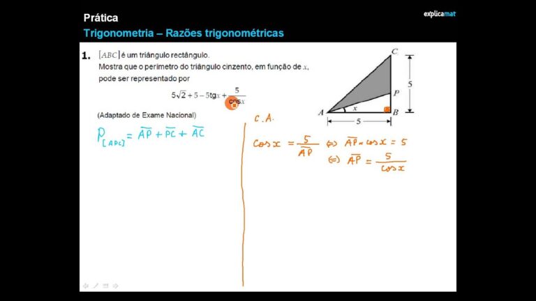 Melhores Exercícios de Trigonometria para o 11º Ano