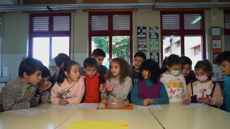 Transforma&ccedil;&atilde;o da Escola Secund&aacute;ria de Seia: Inova&ccedil;&otilde;es e Desafios