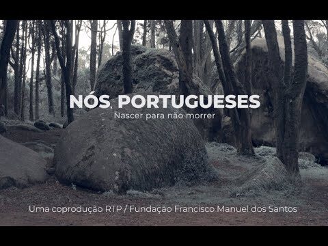 Entendendo o Índice de Renovação de Gerações