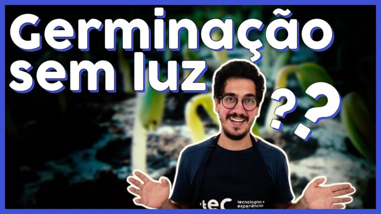 Efeitos da Luz na Germina&ccedil;&atilde;o do Feij&atilde;o