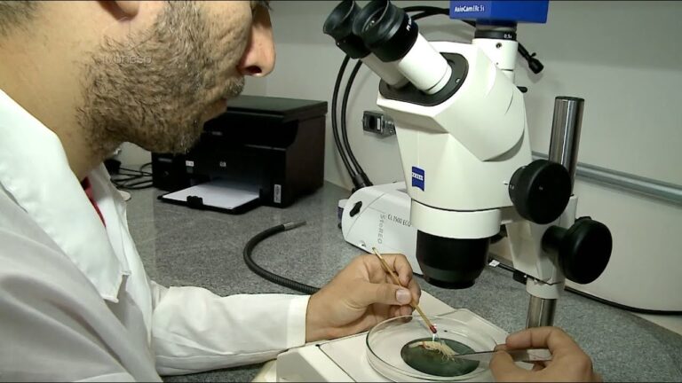 Explorando as Ciências Biológicas: Fundamentos e Aplicações
