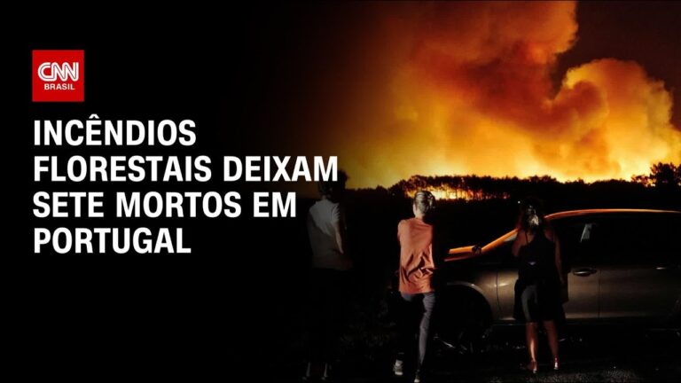 Maiores Inc&ecirc;ndios Florestais em Portugal: Causas e Consequ&ecirc;ncias